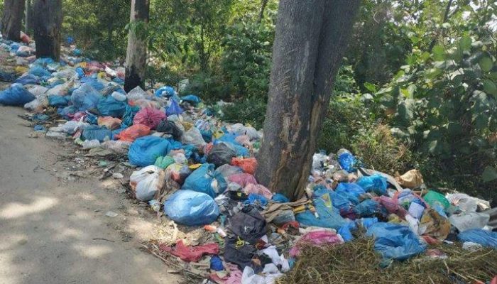 Lima Titik Pembuangan Sampah Ilegal Ditemukan di Hutan Karawang, Kemenhut Siapkan Sanksi Tegas