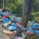 Ilustrasi pembuangan sampah di hutan