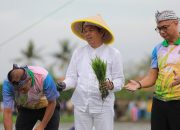 Dedi Mulyadi Tanam Padi di Lahan Sitaan Jaksa Agung, Dukung Swasembada Pangan Nasional