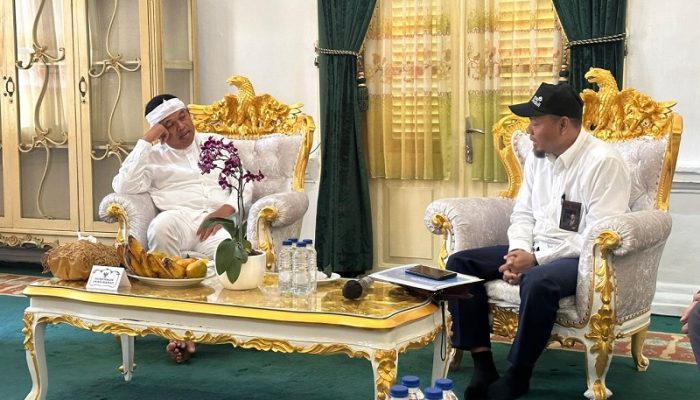 PLN dan Dedi Mulyadi Sepakat Percepat Infrastruktur Listrik di Jabar