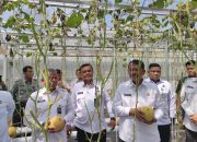 Dari Balik Jeruji ke Ladang Harapan: Melon Sukamiskin dan Kisah Transformasi Warga Binaan
