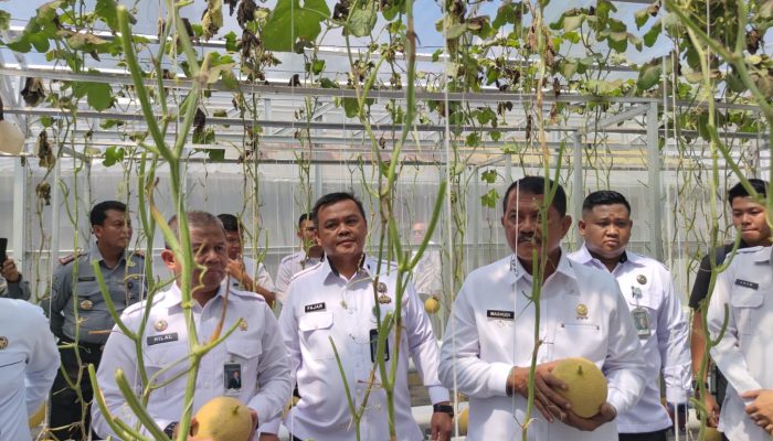 Dari Balik Jeruji ke Ladang Harapan: Melon Sukamiskin dan Kisah Transformasi Warga Binaan