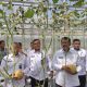 Dari Balik Jeruji ke Ladang Harapan: Melon Sukamiskin dan Kisah Transformasi Warga Binaan