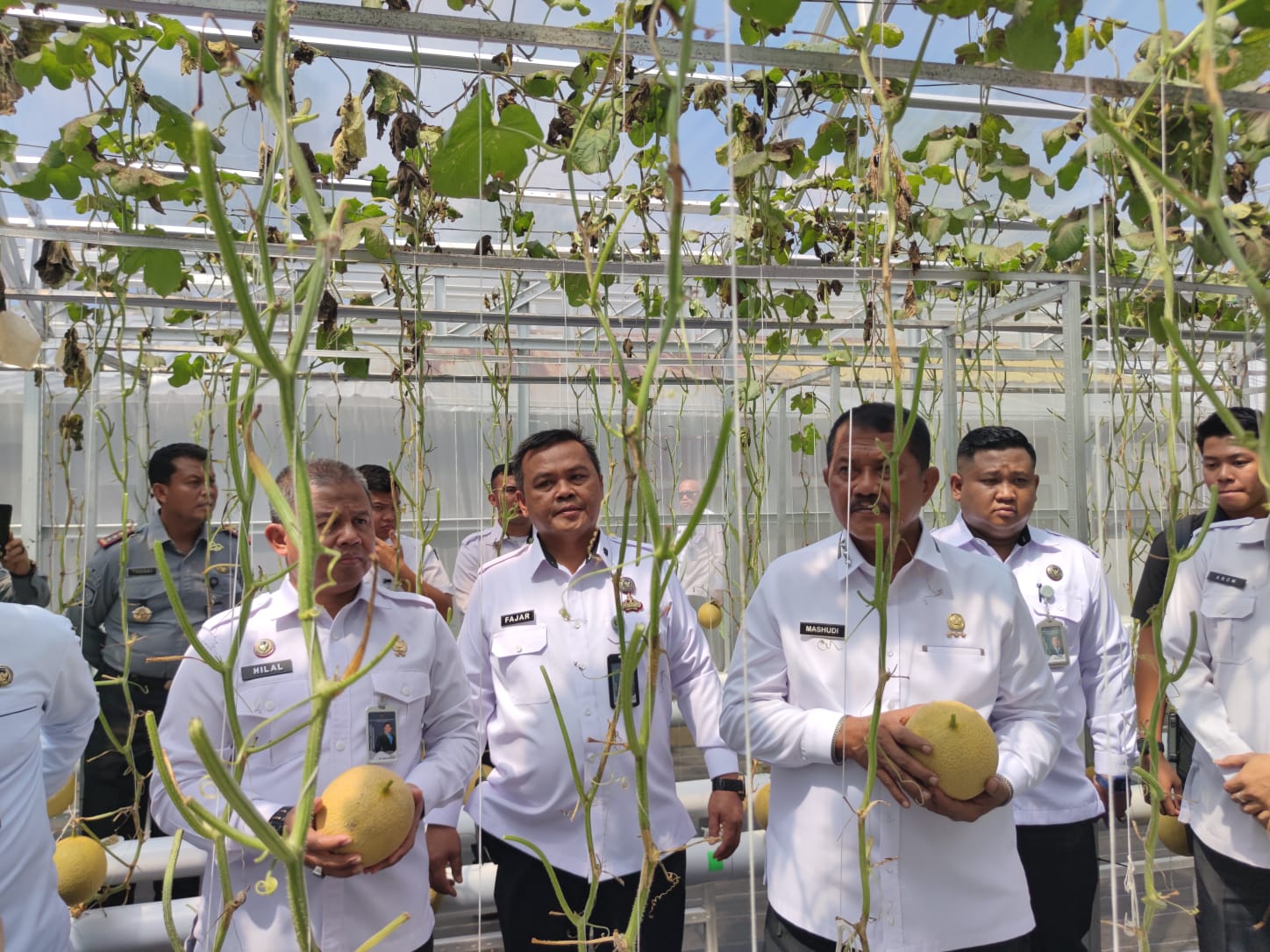 Dari Balik Jeruji ke Ladang Harapan: Melon Sukamiskin dan Kisah Transformasi Warga Binaan