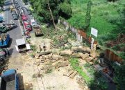 Pemkot Bandung Tangani Pohon Tumbang di Jalan Dago, Tiga Orang Luka-Luka