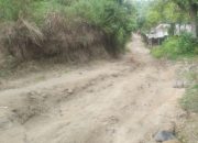 Jalan Rusak Parah di Naringgul Cianjur, Warga Desa Cinerang-Sukamulya Menjerit!