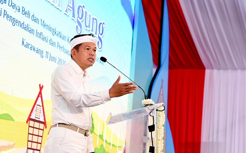 Dedi Mulyadi