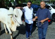 Erwan Setiawan Serahkan Sapi Kurban untuk Warga Sekitar Rumah Dinas Wagub Jabar