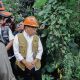 Menko PMK Pratikno meninjau lokasi tanah bergerak. (foto: istimewa)