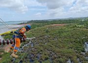 PLN Tingkatkan Kontribusi ke Negara Lewat Dividen hingga Layanan Energi