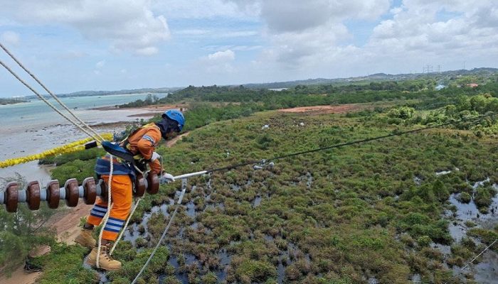 PLN Tingkatkan Kontribusi ke Negara Lewat Dividen hingga Layanan Energi