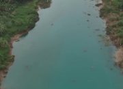 Sungai Citarum di Karawang Berwarna Biru, DLH Jabar Selidiki Dugaan Pencemaran Limbah Industri