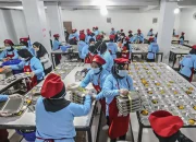 Lindungi Pekerja Dapur, BGN Gandeng BPJS Ketenagakerjaan di Program MBG