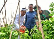 Panen Raya Agroforestri Gunung Hejo Punya Potensi Rp50 Miliar, Dedi Mulyadi Sebut Solusi Ketahanan Pangan