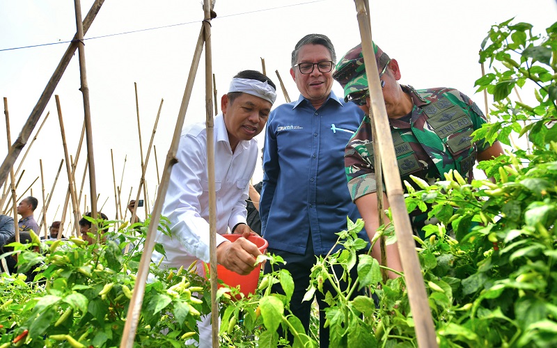 Dedi Mulyadi