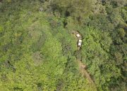 Lahan Perhutanan Sosial Dirusak Aktivitas Off Road di Garut, Pengelola Ancam Tempuh Jalur Hukum