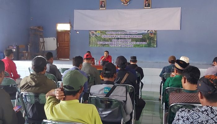 Pasar Lokal Masih Kekurangan Pasokan, Desa Sukabakti Cianjur Kembangkan Peternakan Domba untuk Ketahanan Pangan
