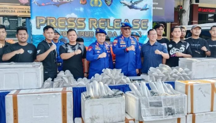 Polda Jabar Gagalkan Penyelundupan 50 Ribu Benih Lobster di Tol Cipali, Kerugian Capai Rp2 Miliar