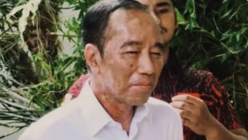 Mantan Presiden Joko Widodo