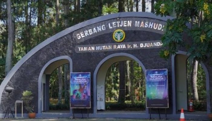 Pemprov Jabar Siapkan Tiga Kawasan Hutan Ini untuk Tahura, Salah Satunya di Purwakarta