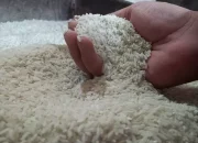Terbongkar! Modus Beras Oplosan, Harga Premium tapi Isinya Murahan