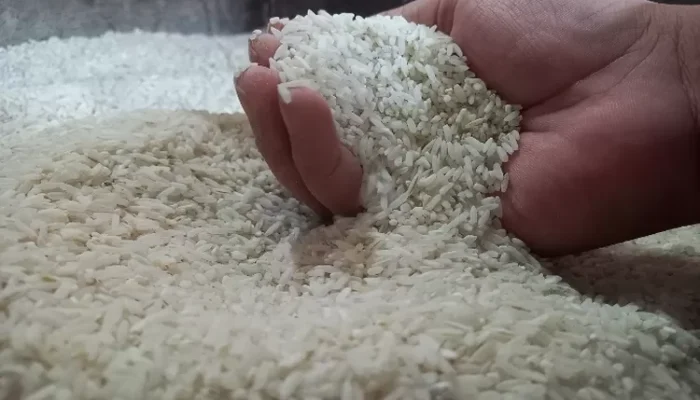 Terbongkar! Modus Beras Oplosan, Harga Premium tapi Isinya Murahan