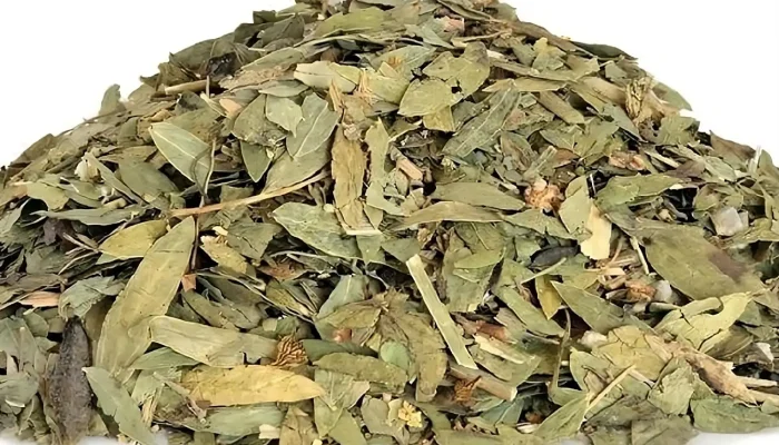 Cuma dari Daun Kering, Bisnis Lokal Ini Laku Keras Dijual ke Luar Negeri