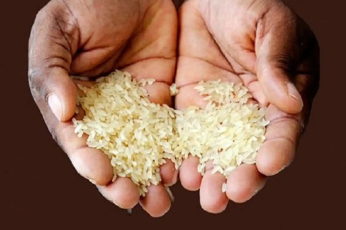 Kejagung selidiki kasus korupsi beras oplosan