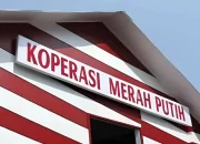 Jangan Ulang Kegagalan KUD, Ekonom Ingatkan Risiko Program Koperasi Merah Putih