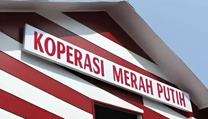 Jangan Ulang Kegagalan KUD, Ekonom Ingatkan Risiko Program Koperasi Merah Putih