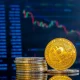 Bitcoin emas di depan grafik harga pasar crypto yang menurun.