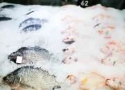 KUR BRI Dorong Supplier Ikan Jadi Pemasok Program MBG, Omzet Meningkat 100 Kg Per Hari