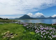 Pejabat Ini Sebut Purwakarta Mirip Korea, Ini Alasannya
