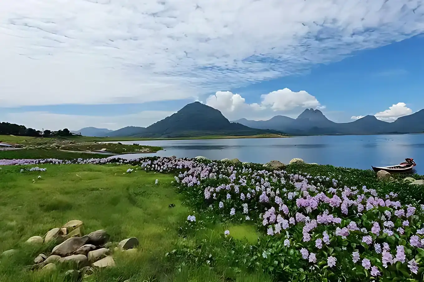 Lanskap indah Waduk Jatiluhur di Purwakarta dengan latar perbukitan dan bunga eceng gondok, disebut mirip Korea Selatan oleh Bupati Gurye Korea Selatan.