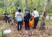 Pemuda Ditemukan Tergantung di Pohon Karet Purwakarta, Identitas Masih Misterius