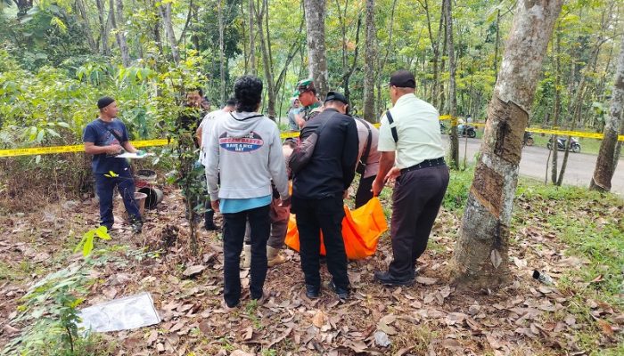 Pemuda Ditemukan Tergantung di Pohon Karet Purwakarta, Identitas Masih Misterius