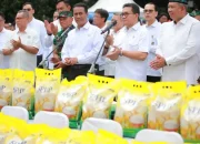 Pemerintah Gelontorkan 43 Ribu Ton Beras Murah SPHP, Dijual Rp60 Ribu per 5 Kg