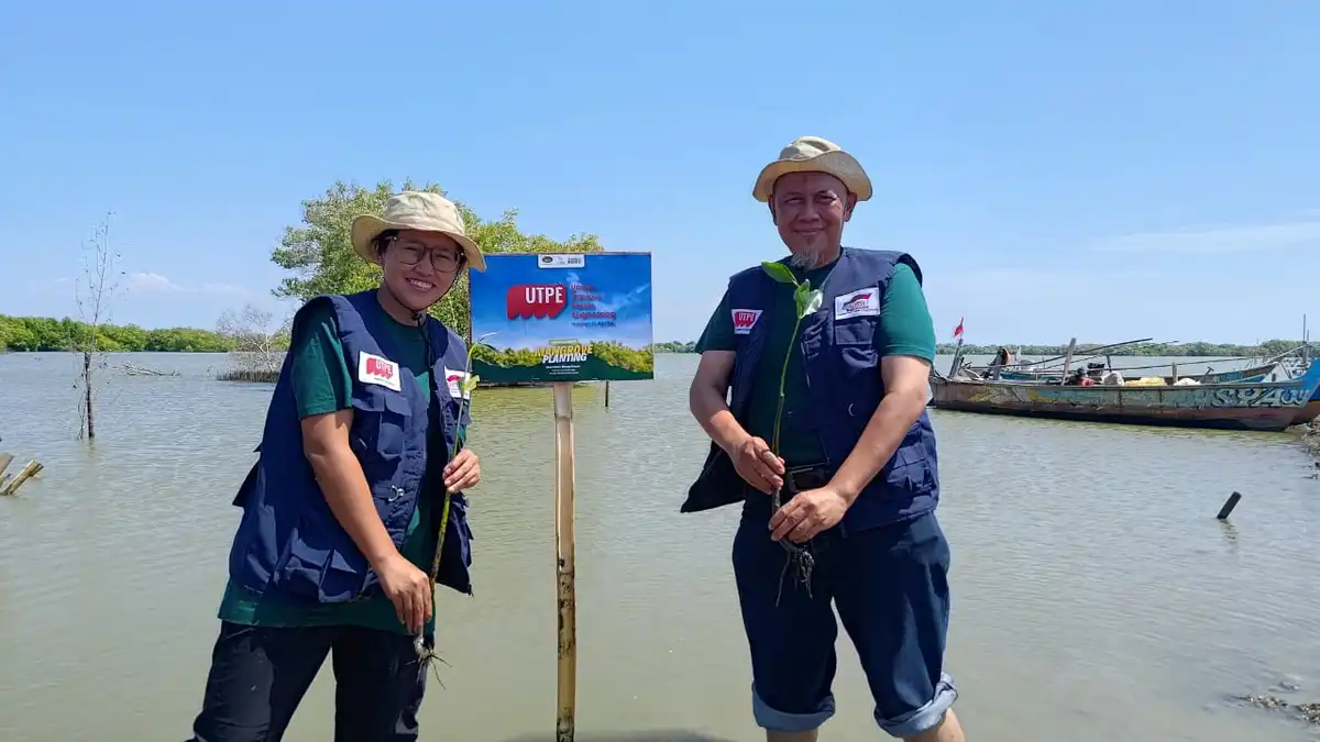 Karyawan PT UTPE tanam bibit mangrove di Muara Gembong Bekasi pada Jababeka Ecoweek 2025