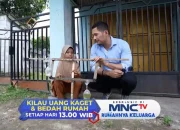 Awas Ketinggalan! Kisah Nyata Mengharukan di Kilau Uang Kaget Bedah Rumah