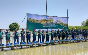 Peserta Jababeka Ecoweek 2025 menanam mangrove di Muara Gembong Bekasi