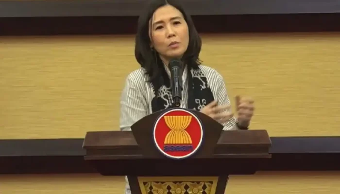 Pekerja Rumah Tangga Bisa Jadi Tenaga Profesional, Wamen PPPA Bocorkan Rahasianya