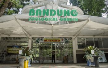 Pintu masuk Kebun Binatang Bandung atau Bandung Zoo