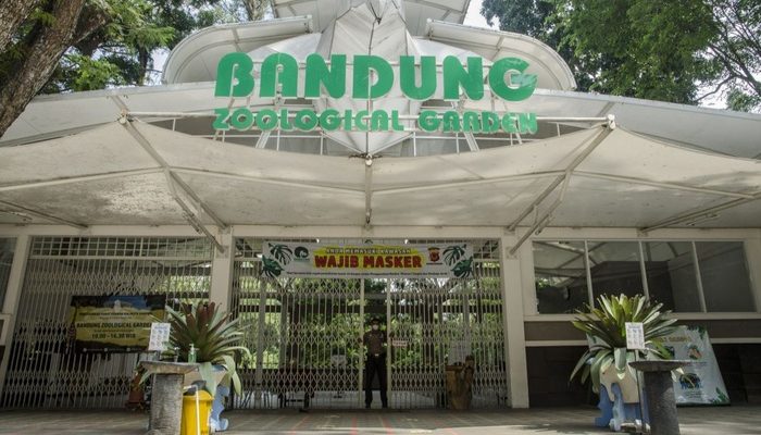 Pemkot Peringatkan Pengelola Kebun Binatang Bandung, Minta Lahan Dikosongkan