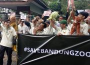 Lebih Sebulan Ditutup, Bandung Zoo Terancam Kesulitan Operasional