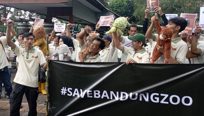 Lebih Sebulan Ditutup, Bandung Zoo Terancam Kesulitan Operasional
