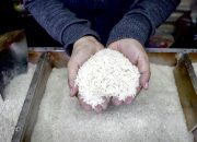 Pemkot Bandung Pastikan Stok Beras Aman, Harga Stabil di Pasar dan Retail