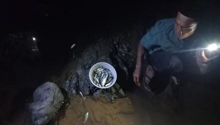 Ikan Sungai Mati Massal, DLH Tasikmalaya Turun Tangan Soal Pencemaran TPA Ciangir