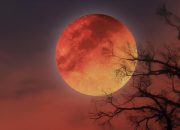 Nanti Malam Langit Indonesia Bakal Dihiasi Blood Moon, Catat Waktu dan Cara Melihatnya