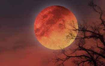 Blood Moon 2025 di langit Indonesia