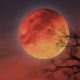 Blood Moon 2025 di langit Indonesia